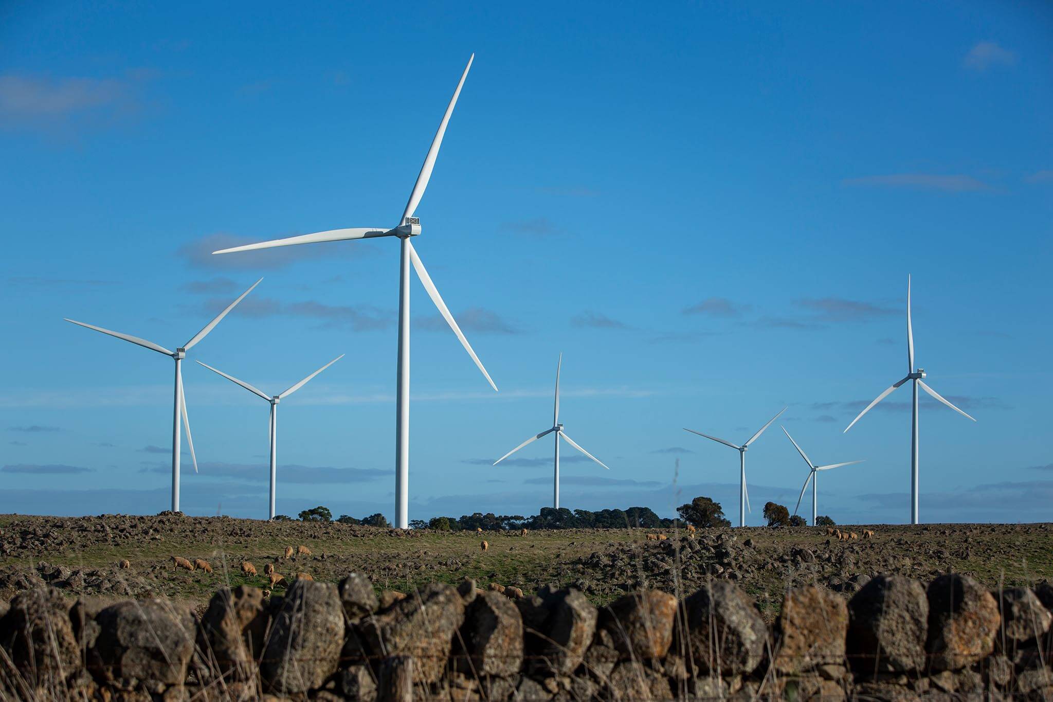 7 wind turbine’s at the Tilt’s Dundonnell Wind Farm in Victoria